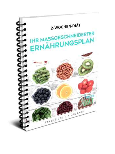 ERNÄHRUNGSPLAN_VORSCHAU_NEU_Spiral